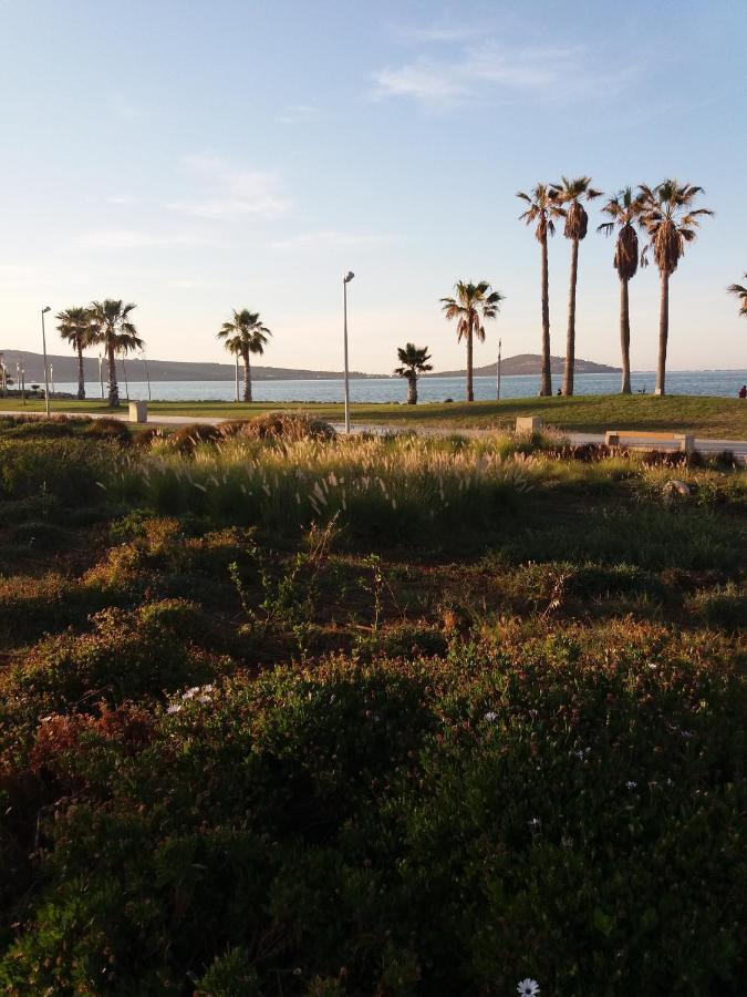 Apartment Nador Rif Екстериор снимка